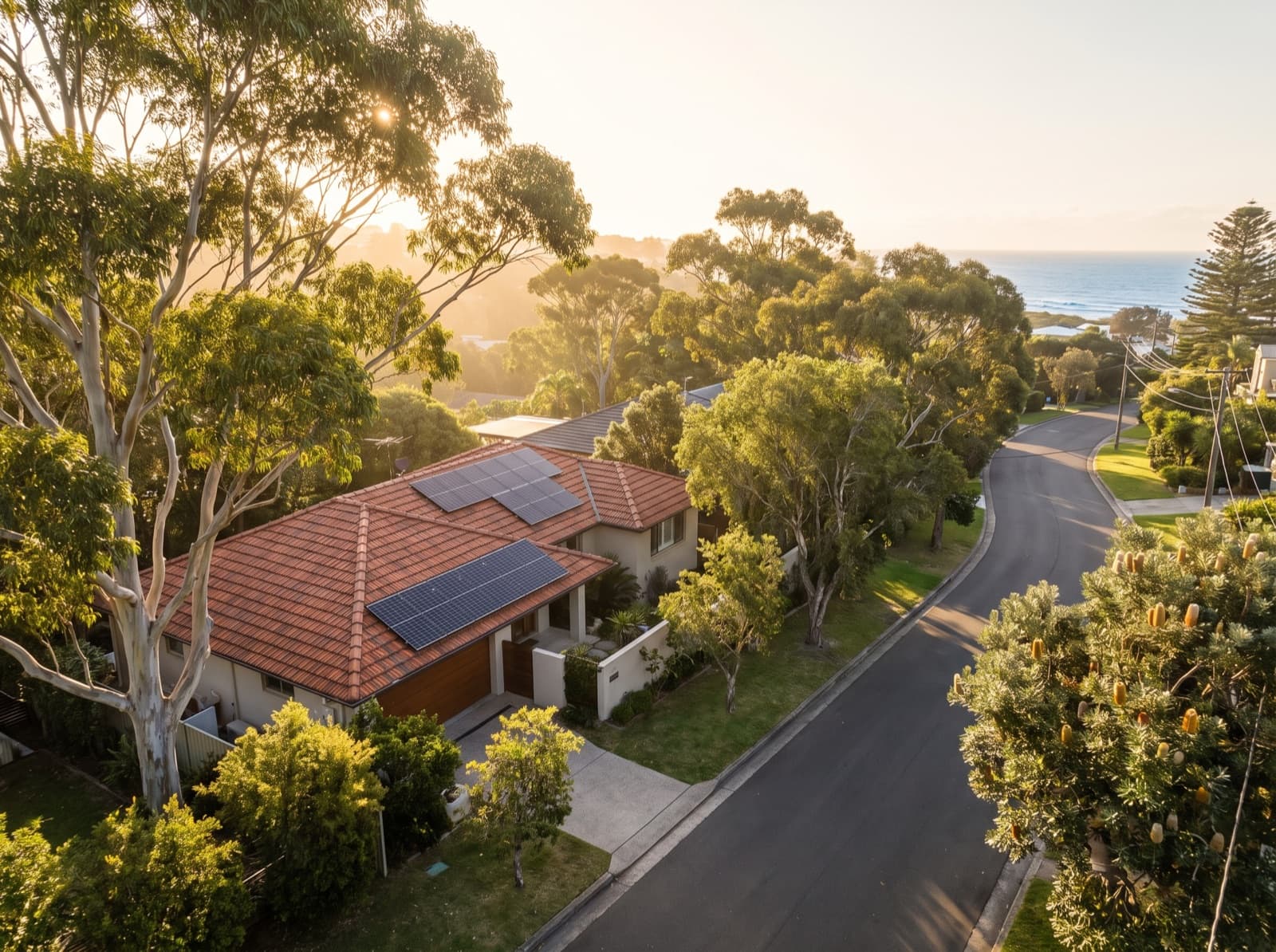 Northern Beaches home with rooftop solar on a leafy street in Dee Why, Sydney